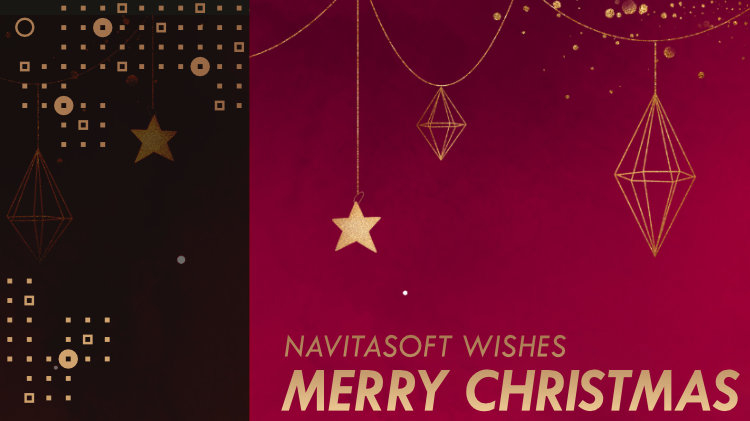 Navitasoft wishes Merry Christmas