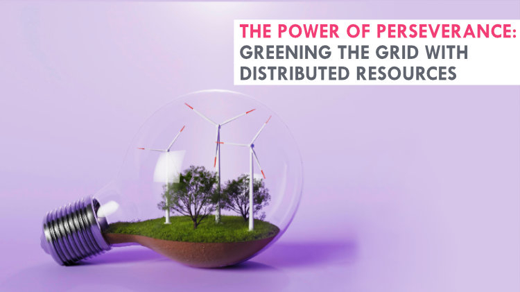 The power of perseverance: Greening the grid with distributed resources