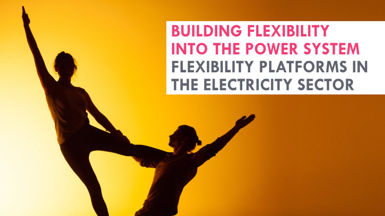 Building flexibility into the power system: Flexibility platforms in the electricity sector