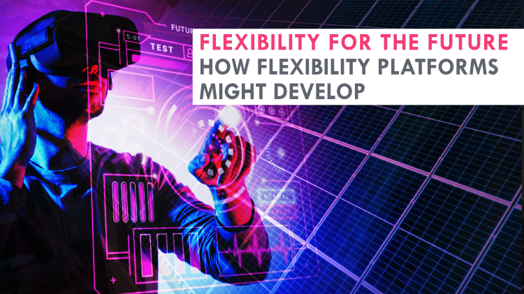 Flexibility for the future: How flexibility platforms might develop
